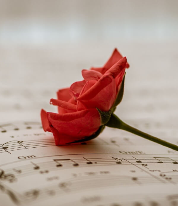 Robert Burns the new songs A red red rose